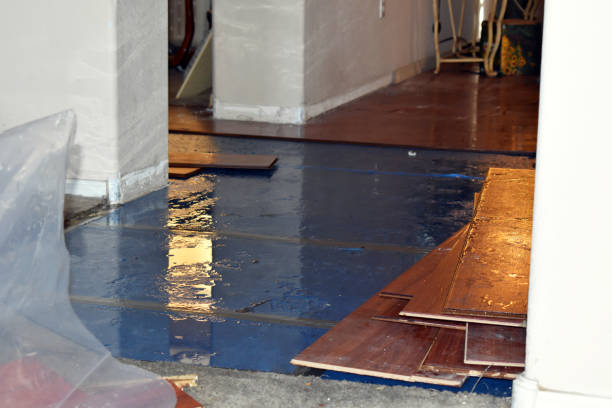 Professional Water Damage Restoration technician working in Waverly, MO